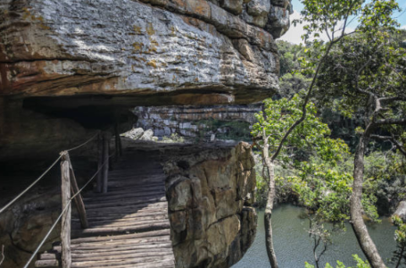 A timber walkway beside a rocky cliff above a wooded river